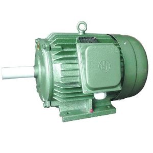 Động cơ điện 3 pha 15kW 20hp