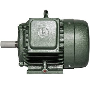Động cơ điện 3 pha 3kW 4hp