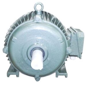 Động cơ điện 3 pha 30kW 40hp