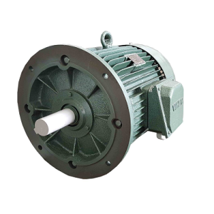 Mô tơ điện 30kW mặt bích