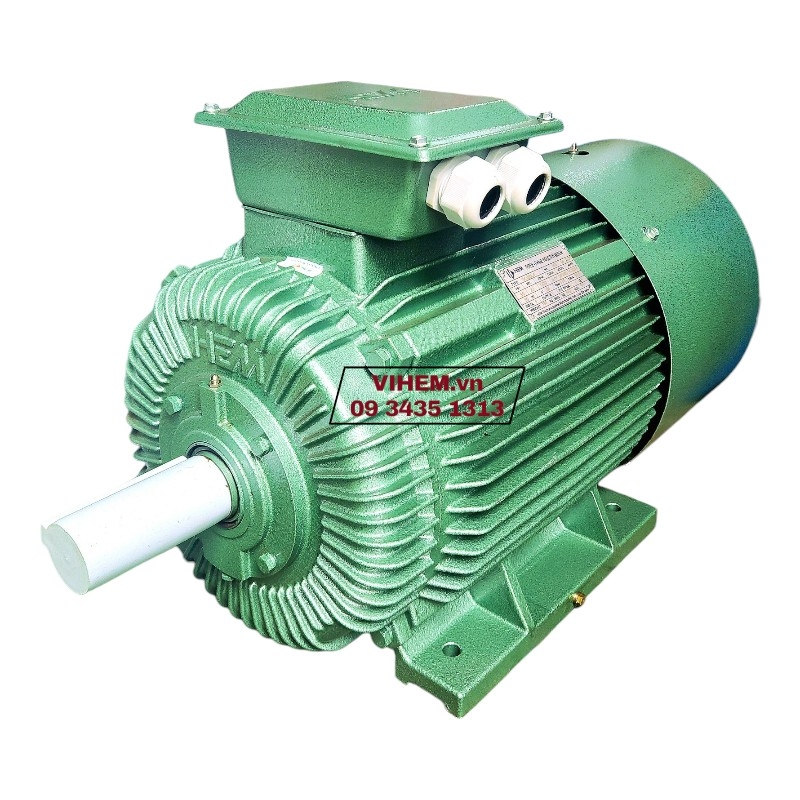 Động cơ điện 3 pha 11kW (15HP)-8P-3K180L8 motor tốc độ thấp (720 ~750) r/min điện cơ Hà Nội Hem Vihem