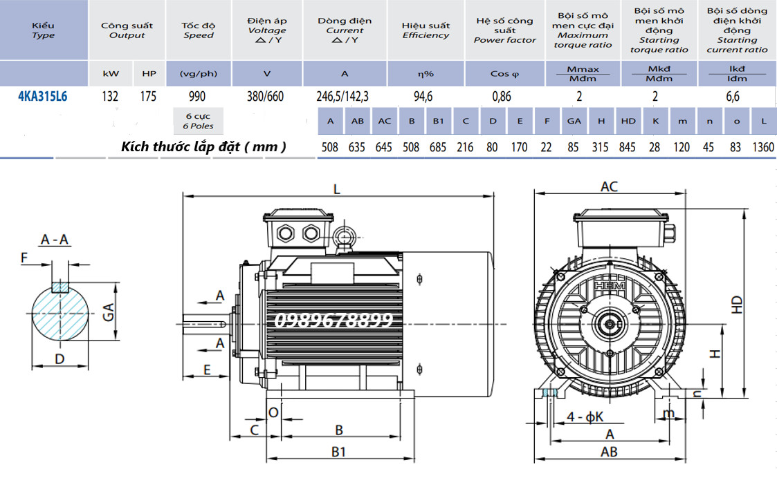 Thông số kỹ thuật & kích thước lắp đặt Mô tơ điện 3 pha 132kW - 6P (tốc độ 990-1000r/min) 6 cực điện