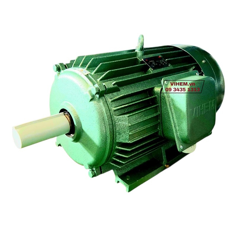 Motor điện 3 pha 18,5kW (25HP) 3L160L2-380/660V tốc độ (2930~3000) r/min motor điện cơ Hà Nội Hem Vihem