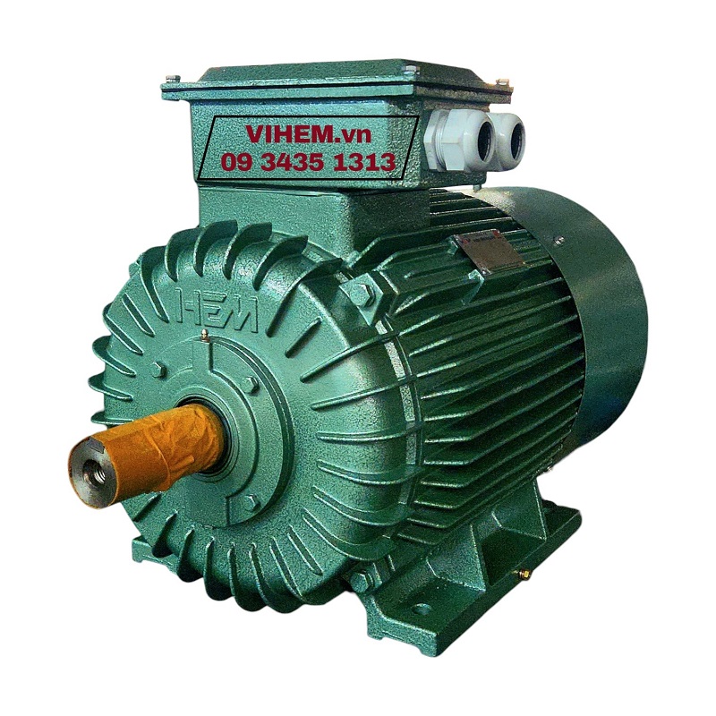 Động cơ điện 3 pha 18,5kW (25hp) 3K200L6-380/660V-50Hz-B3 tốc độ 970 (1000) motor điện cơ Hem Vihem