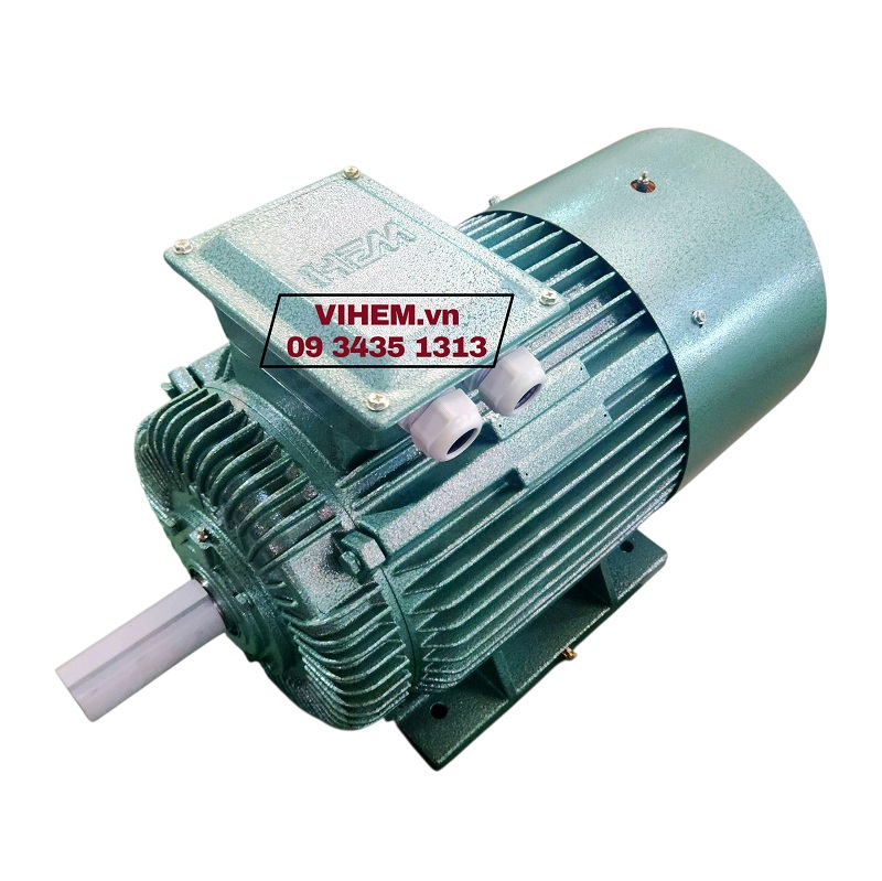 Động cơ điện 3 pha Hem Vihem 22kW (30hp)-380/660V-50Hz-3K180L4 tốc độ 1470 (1500)