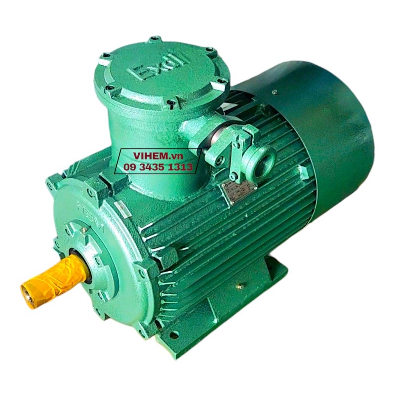 Động cơ điện phòng nổ 22kW(30hp) mã 3PN200Lb6 tốc độ (970~1000) r/min motor 3 pha chống cháy điện cơ Hem Vihem