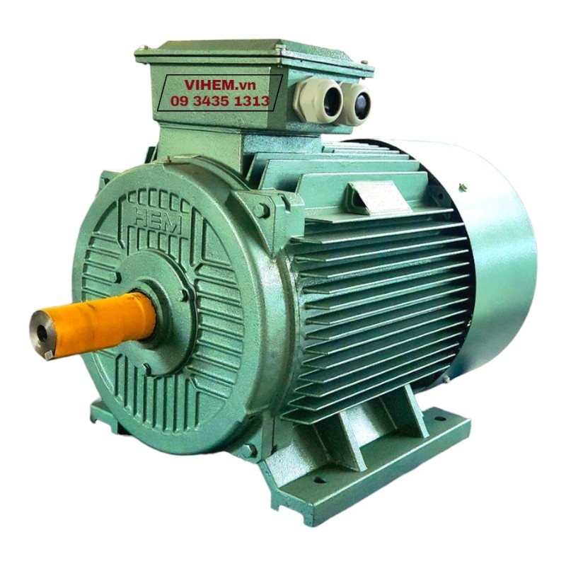 Động cơ điện 3 pha 22kW (30HP) 8P tốc độ 730~750)r/min 4KA225M8 motor điện cơ Hem Vihem tốc chậm