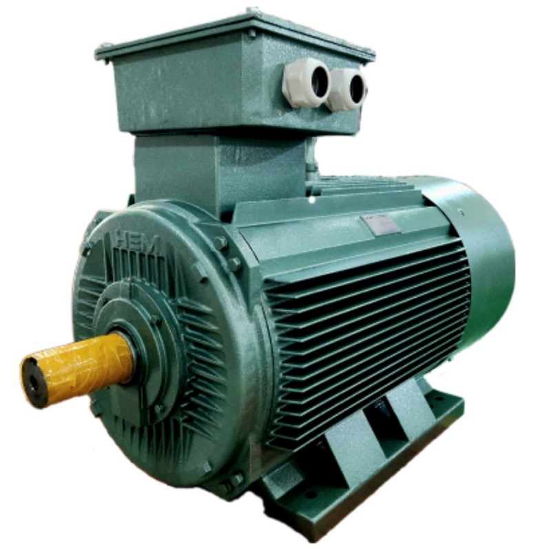 Động cơ điện 3 pha 250kW (340HP) – 6P – 4KA355L6 (tốc độ 990 ~1000rpm) HEM VIHEM