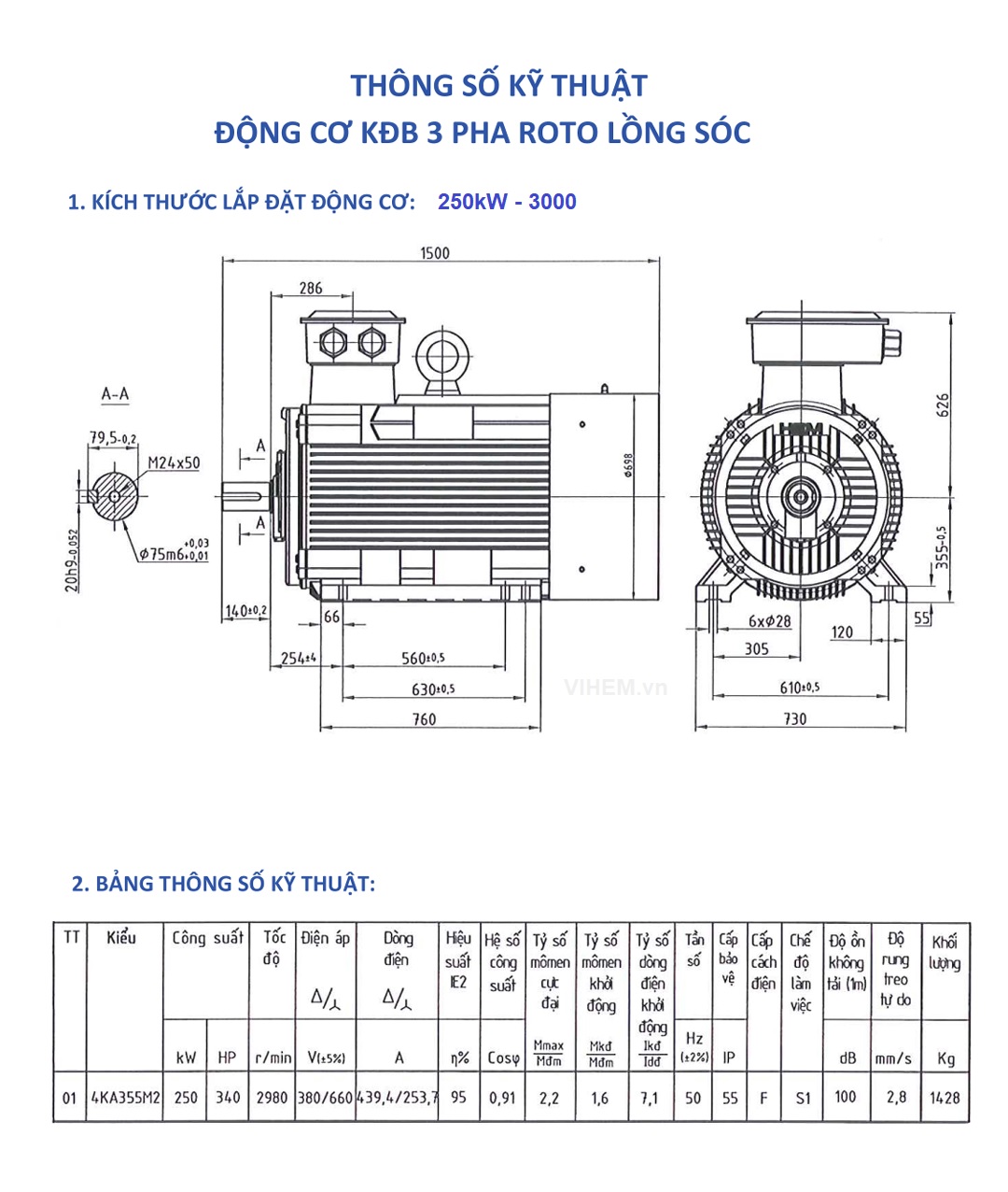 Bản vẽ lắp đặt và kỹ thuật motor 250kW -2980 RPM Hem