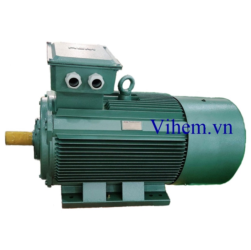 Động cơ điện 3 pha 250kW (340HP)-4P-380V-50Hz-IE2-IP55-4KA355M4 tốc độ ~1500 rpm HEM VIHEM