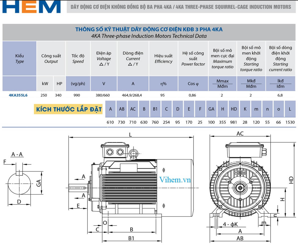 Thông số kỹ thuật & kích thước lắp đặt động cơ 3 pha 250kW - 6P ( tốc độ 990 - 1000 rpm) 6 cực điện