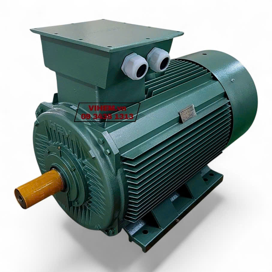Động cơ điện 3 pha 250kW (340HP)-6P-380/660V-4KA355L6 (tốc độ 990 ~1000rpm) HEM VIHEM