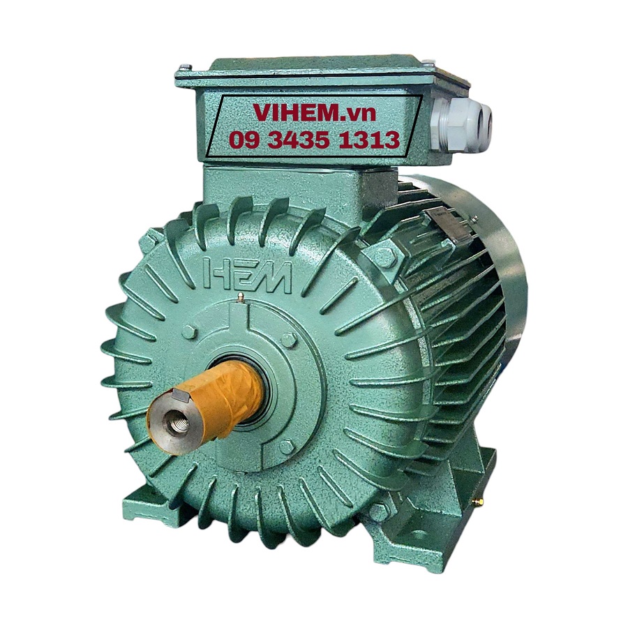 Động cơ điện 3 pha HEM 30kW (40hp)-2P-3K200L2-tốc độ 2950~3000 RPM motor tua cao