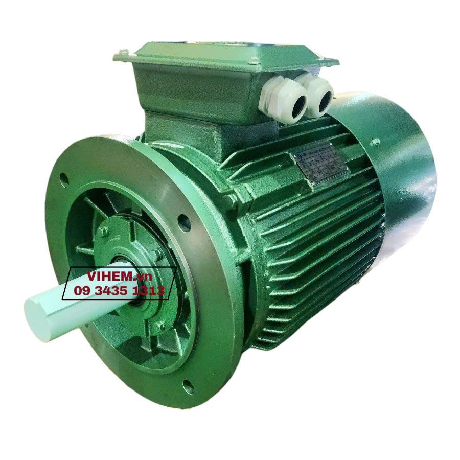 Động cơ mặt bích 30kW-3K200L4-tốc độ 1470~1500 r/min motor Hem kiểu lắp đứng IMB5
