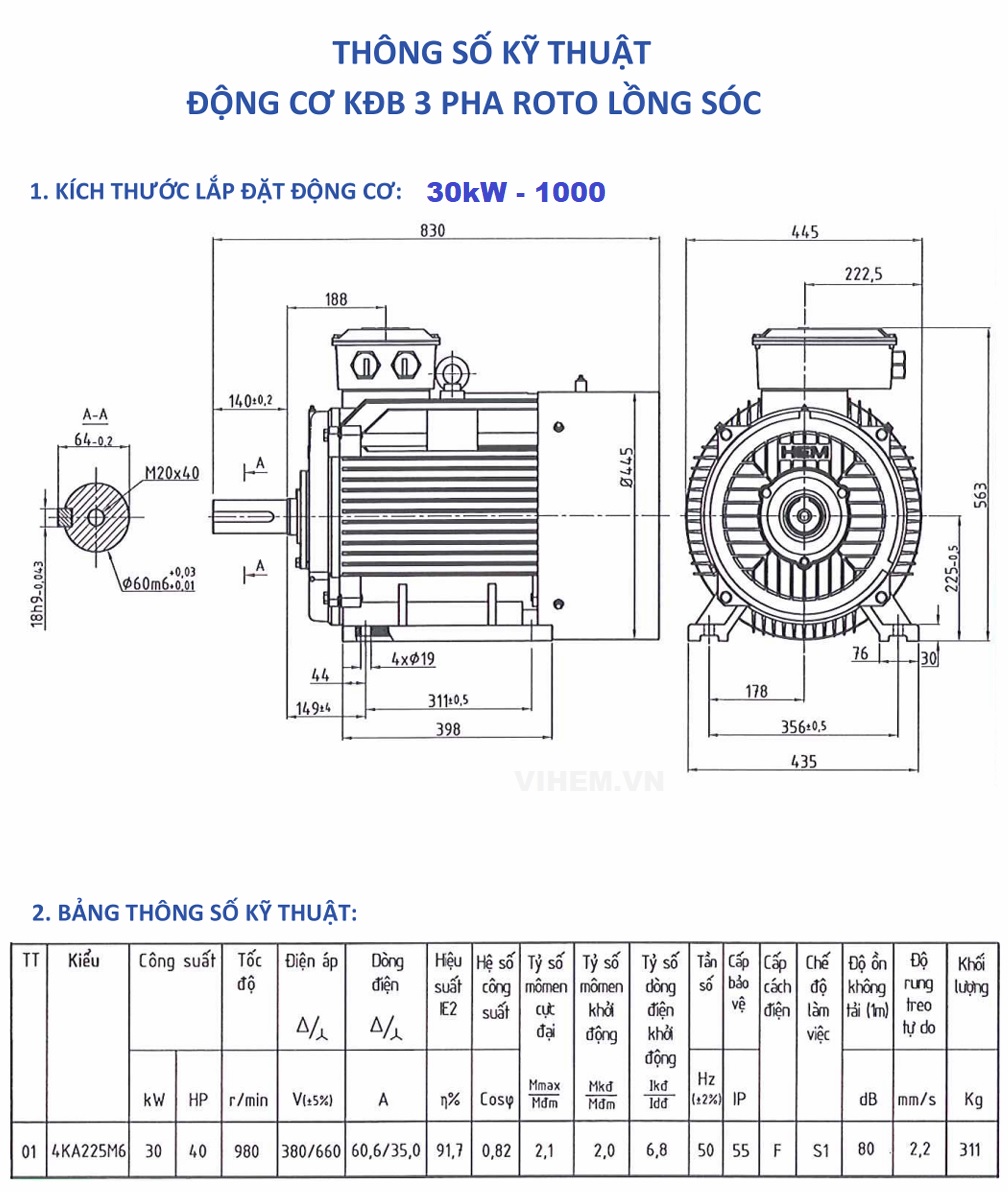Đông cơ điện 3 pha 30kW tốc độ 1000 r/min (6 cực)
