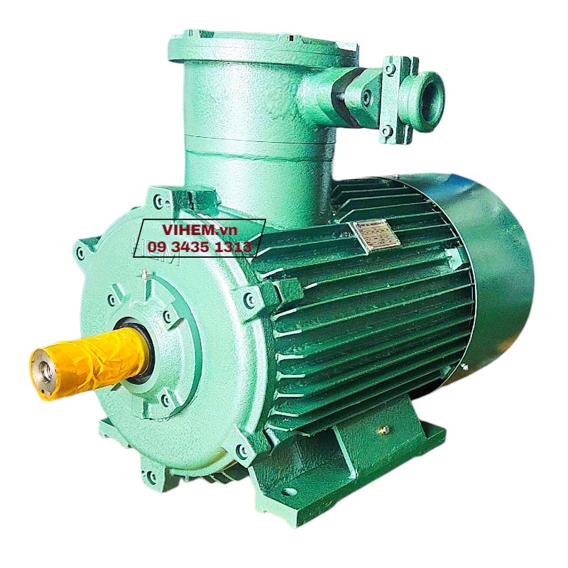 Động cơ phòng nổ ExdI-30kW-8P (750 RPM)-3PN250M8-3 pha 380/660V-B3-motor điện Hem chống cháy