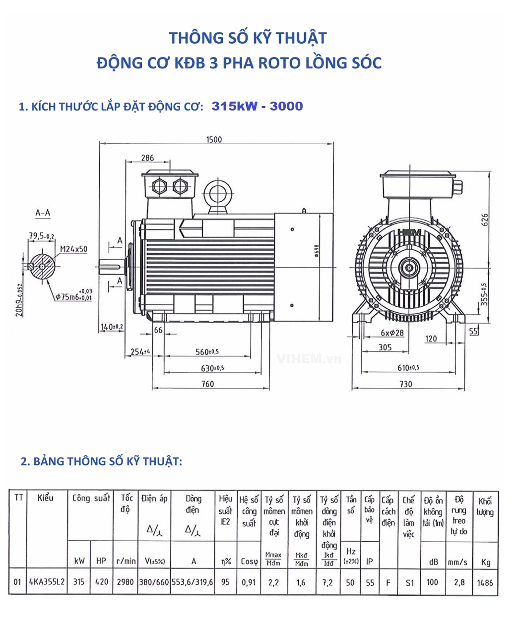 Bản vẽ kỹ thuật & thông số lắp đặt Motor điện 315kW - 2 cực (tốc độ 2980 ~3000 r/min) 