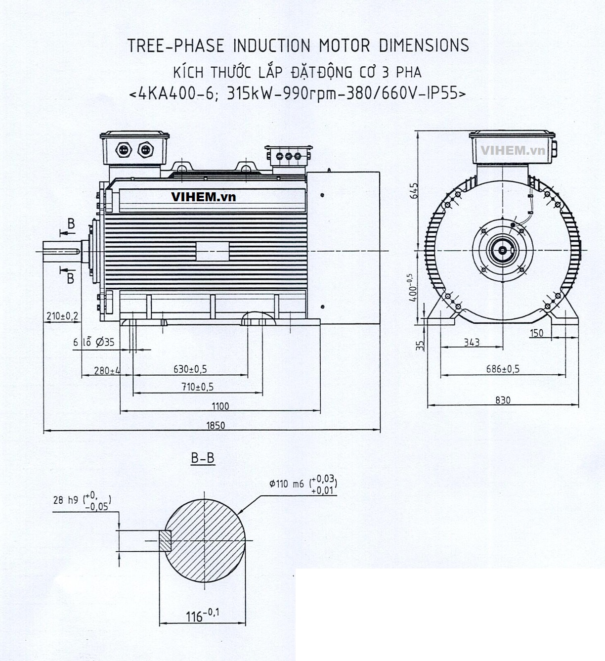Động cơ điện 3 pha 315kW - 6P (tốc độ ~1000 r/min) 