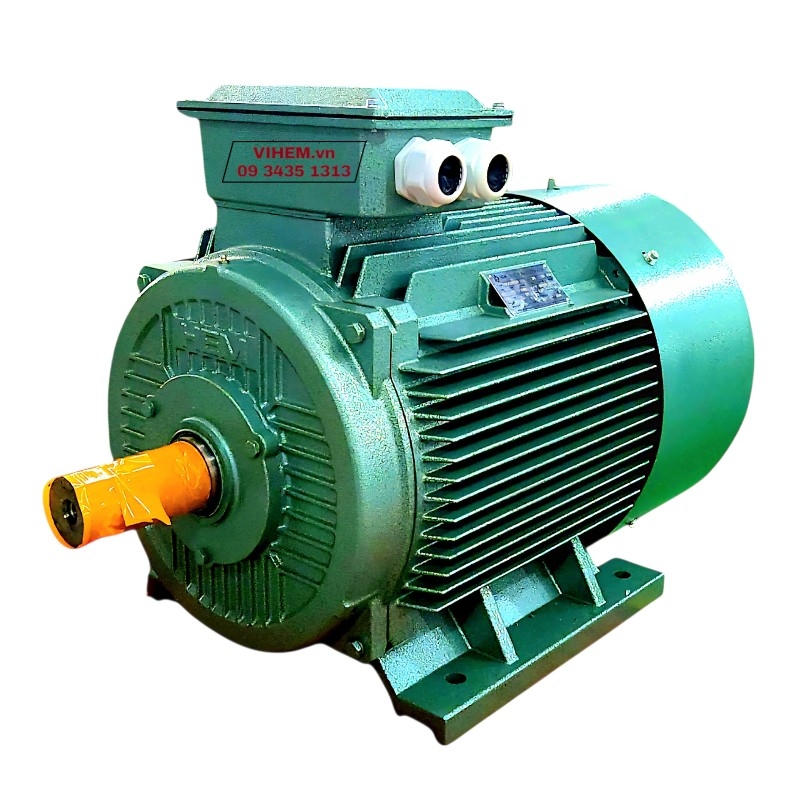 Động cơ điện 3 pha HEM 33kW (45HP)_6P_4KA250M6_tốc độ thấp (980~1000 RPM)_380/660V VIHEM phân phối