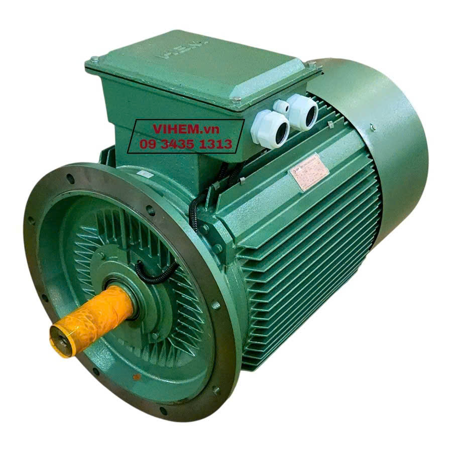 Động cơ mặt bích 37kW (50hp)_4KA225S4_tốc độ 1480~1500 RPM_kiểu lắp đứng B5 motor điện cơ Hem Vihem