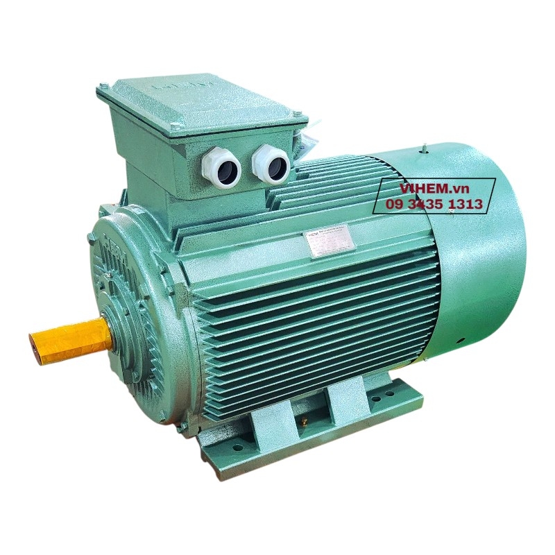 Động cơ điện 3 pha 45kW (60HP)-10P-4KA315S10-B3 (tốc độ 590 ~600 rpm) motor Hem Vihem