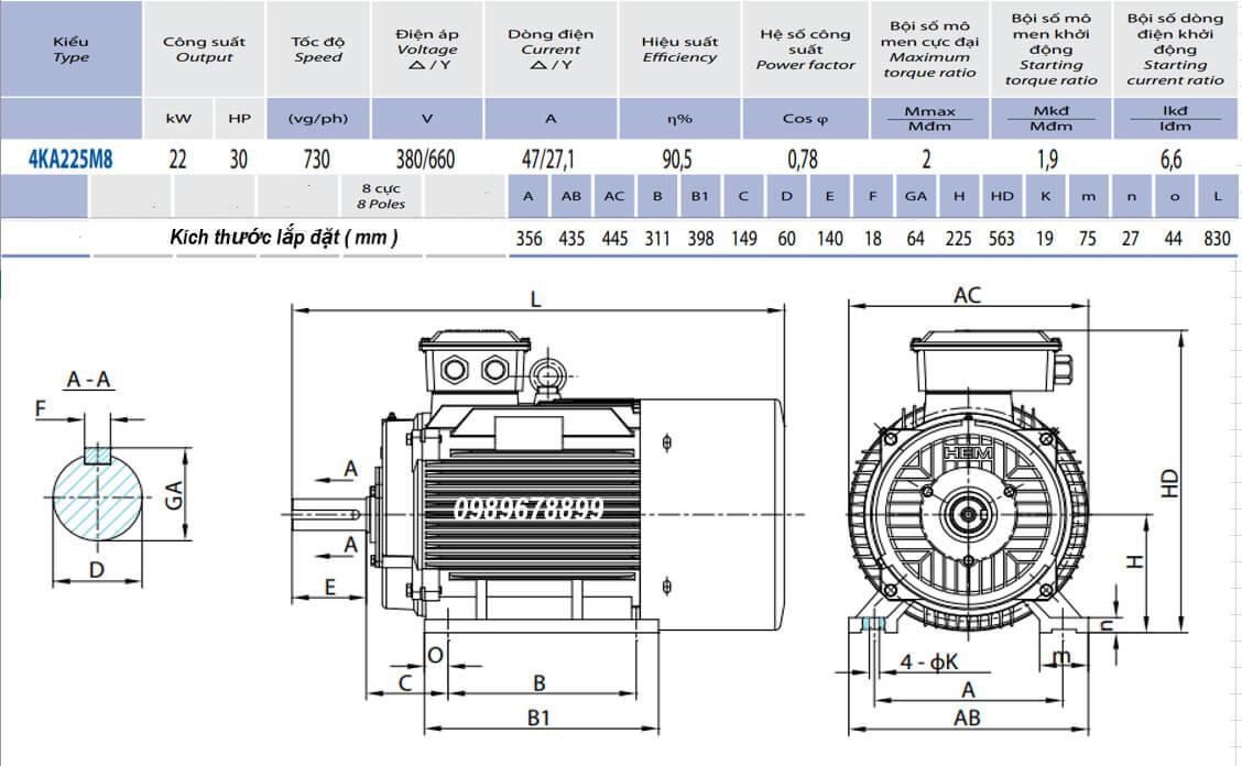 Động cơ điện 3 pha 22kW (30HP) tốc độ 750 r/min (8 cực)