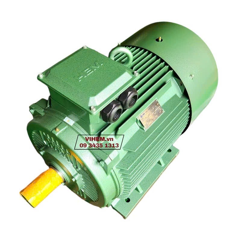 Động cơ điện 3 pha HEM 55kW (75hp)_4P (tốc độ 1480 -1500 r/min)_4KA250M4_ motor điện cơ Hem Vihem