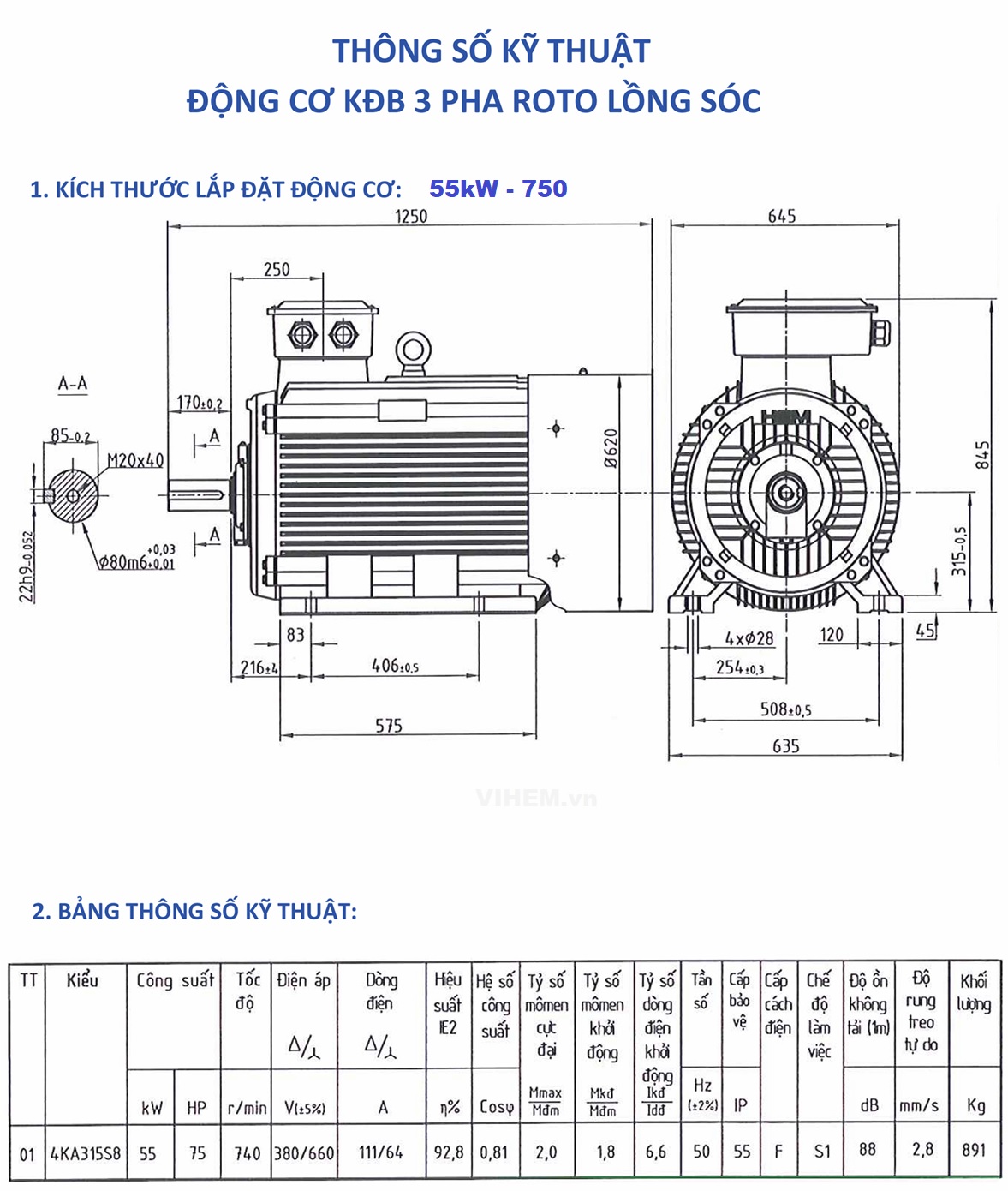 Motor điện 3 pha 55kW tốc độ 740 (~750) r/min 8 cực