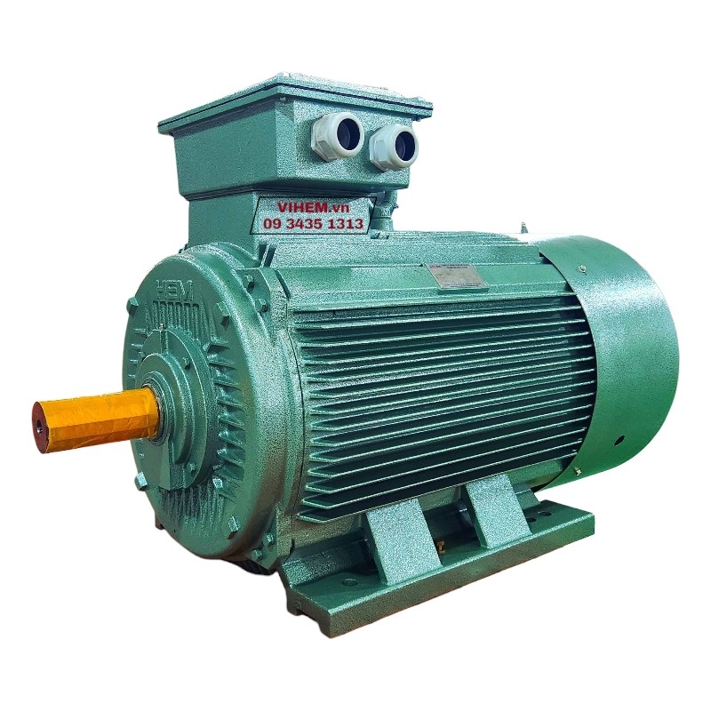 Động cơ điện 3 pha 75kW (100HP)-8P-380/660V-4KA315M8-B3- tốc rất chậm (740rpm) Hem Vihem