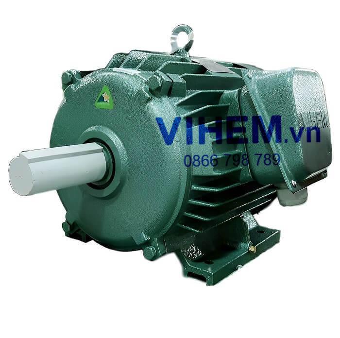 Motor điện 3 pha 11kW (15HP) 980 (1000) vg/ph HEM VIHEM (Việt Hung) điện cơ Hà Nội