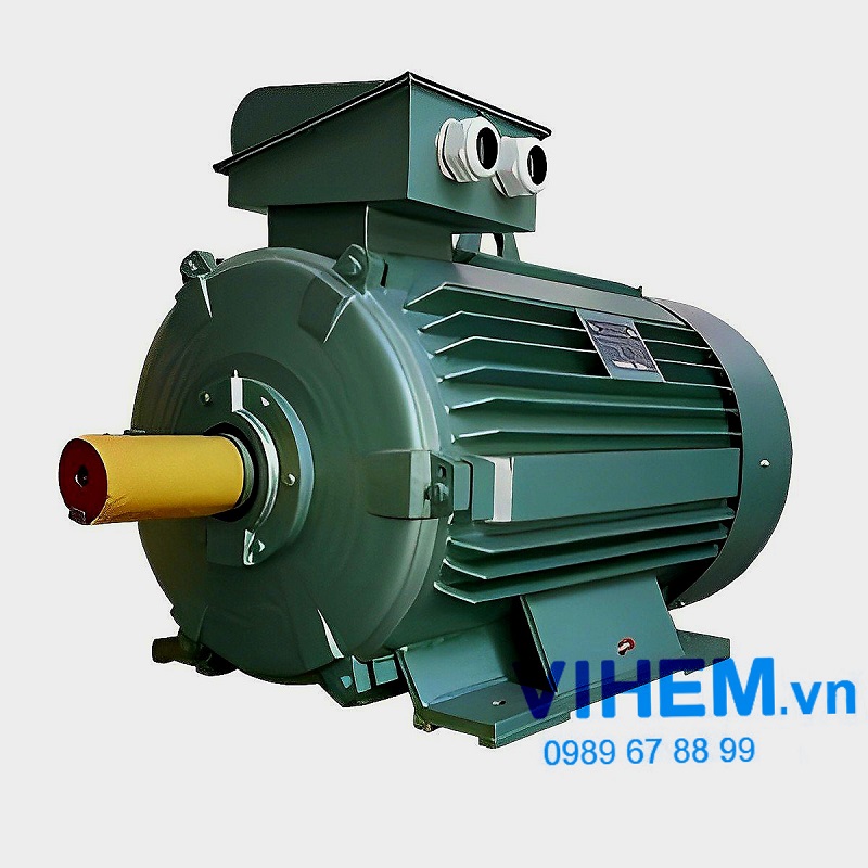 Động cơ điện 3 pha 250kW (340HP) tốc độ 2980 (3000) HEM VIHEM (Việt Hung) điện cơ Hà Nội