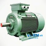 motor điện 3 pha 40kw tốc độ 2970 vòng phút Vihem