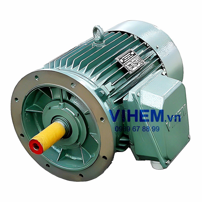 động cơ mặt bích 75kW 740 vg/ph Hem – Vihem