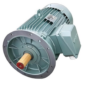 Động cơ mặt bích B5