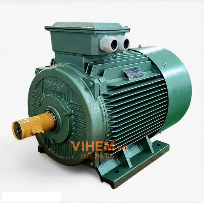 Động cơ điện 3 pha 75kW (100HP)-8P(750rpm)-380V-50Hz-4KA315M8-B3-HEM VIHEM