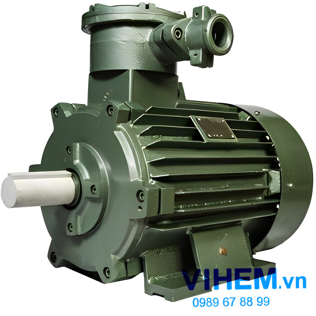 Mô tơ điện 110kW phòng nổ Hem – Vihem