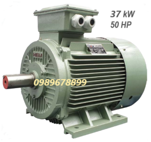 Mô tơ 37kW