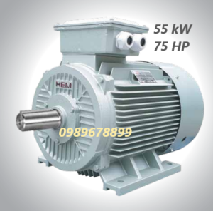Mô tơ 55 kW 75 HP