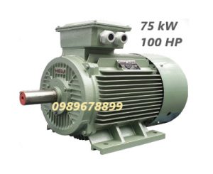 Mô tơ 75 kW 100 HP
