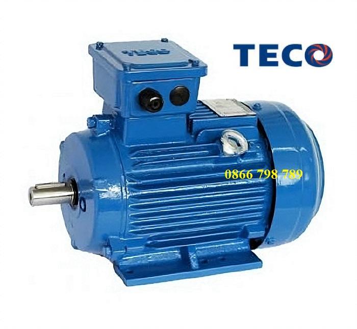 Motor điện 3 pha Teco 5.5kW – 4P – 380V – 50Hz – IE2 -132S – B3 Đài Loan