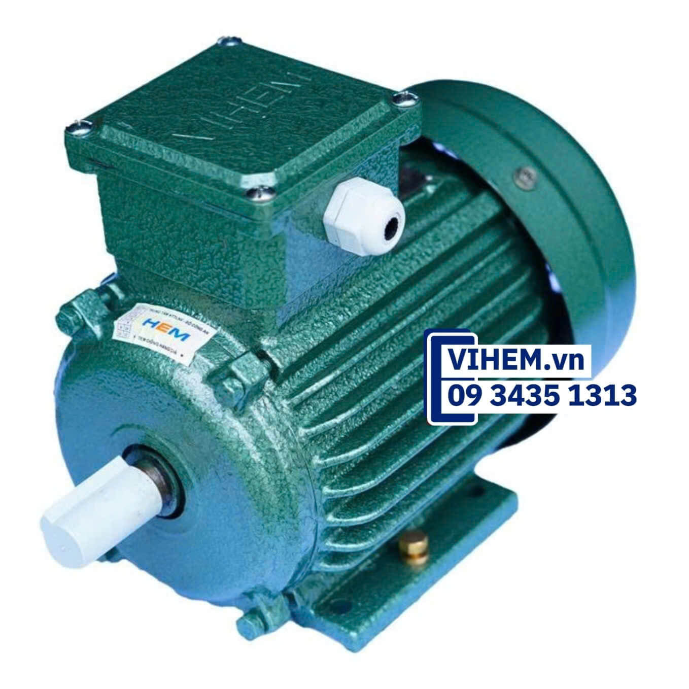 Motor điện 3 pha HEM VIHEM 0.55kW (0.75HP)-6P-380V-3K90S6 tốc độ (940-1000 r/min) điện cơ Hà Nội