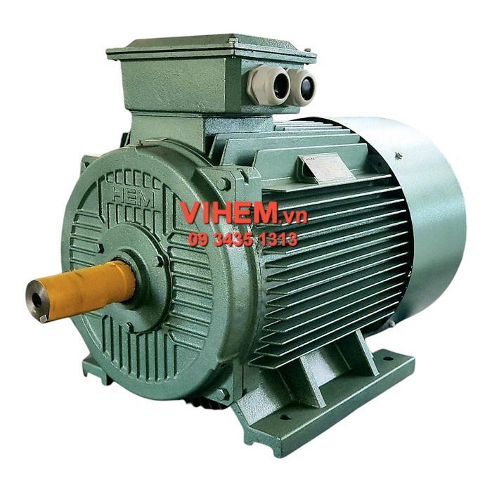 Động cơ điện 3 pha 45kW (60HP)-4P-380V-4KA225M4-IE2-B3 (tốc độ1480 ~1500 rpm) VIHEM