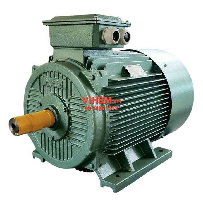 Motor điện 3 pha HEM 90kW (125HP)-6P-4KA315M6 (tốc độ 990 ~ 1000) rpm VIHEM điện cơ Hà Nội