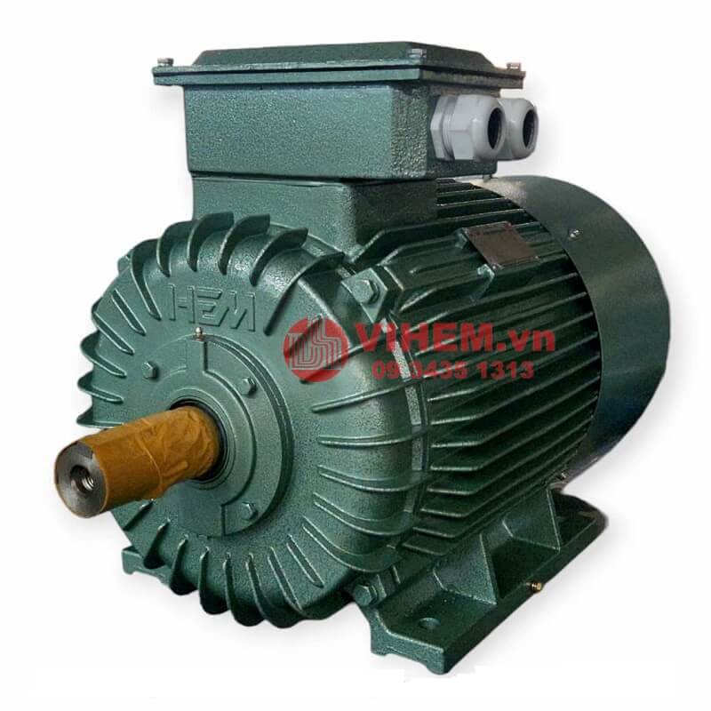 Motor điện 3 pha HEM 18,5kW (25HP) tốc độ 970 (1000) VIHEM (Việt Hung) điện cơ Hà Nội