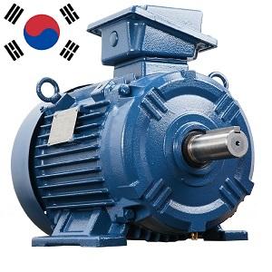 Động cơ điện 3 pha Hyosung Hàn Quốc