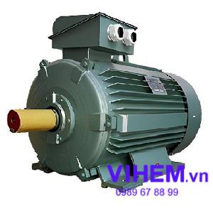 Động cơ điện 3 pha Hem - Vihem