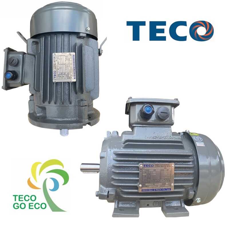 Motor điện 3 pha Teco