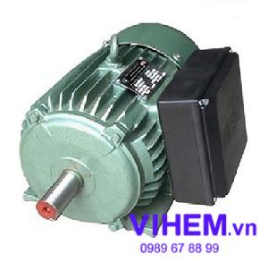 Động cơ điện 1 pha 220V Hem - Vihem