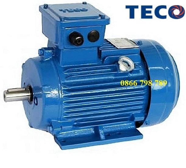 Động cơ điện 3 pha Teco 7.5kW – 4P – 380V- 50Hz – IE2 – 132M- B3 Đài Loan