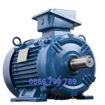 động cơ điện 3 pha 11kW 15hp tốc độ 1000 Hyosung Hàn Quốc chân đế hộp cực trên